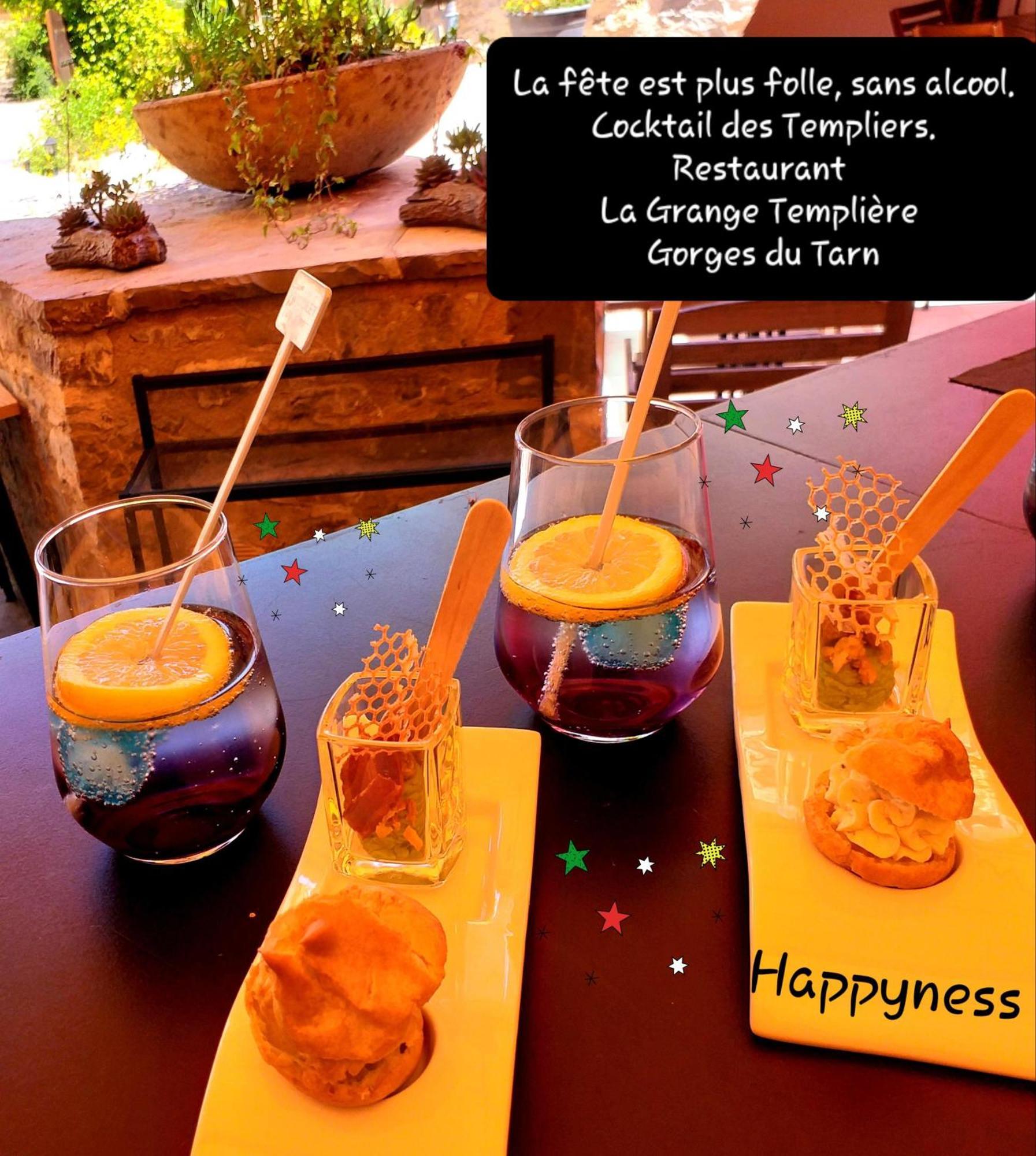 Bed and Breakfast La Grange Templiere 2018 Peyreleau Esterno foto